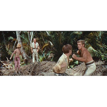 Swiss Family Robinson (Vault Disney Collection) (DVD)