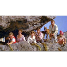 Swiss Family Robinson (Vault Disney Collection) (DVD)
